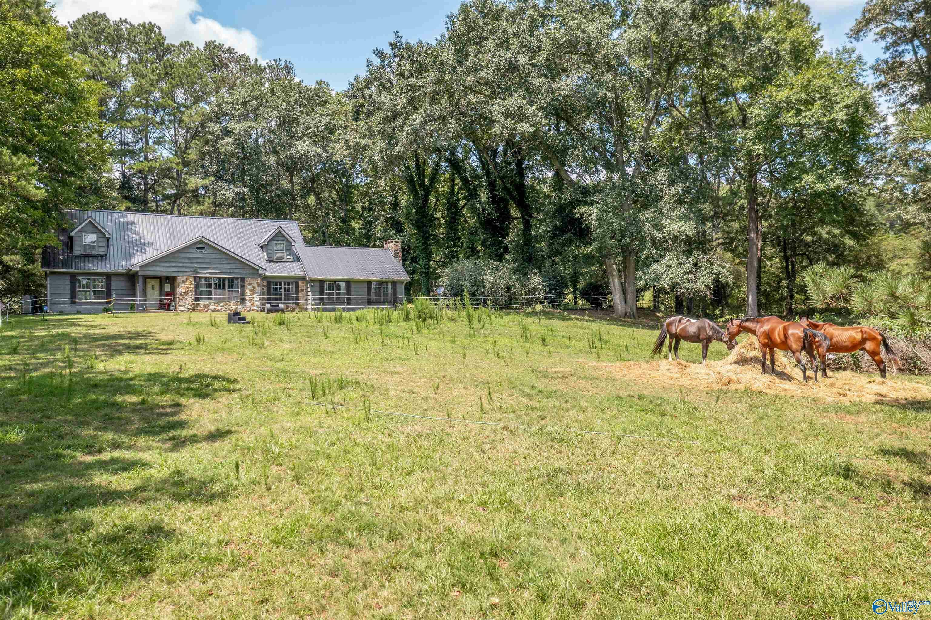 Property Photo:  13986 Tabor Road  AL 35961 