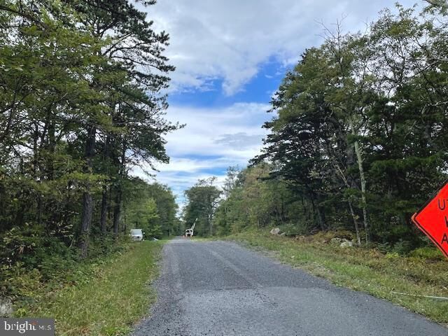 Property Photo: Lot 76 Bear Trail VA 22602