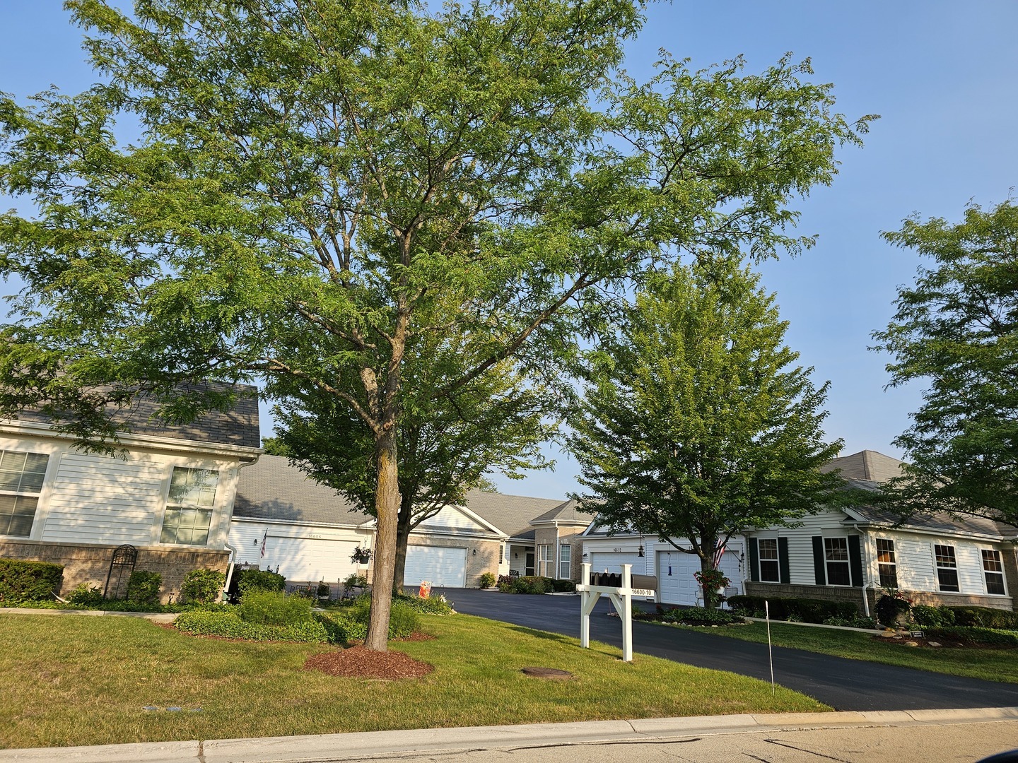 Property Photo:  16604 Buckner Pond Way  IL 60403 