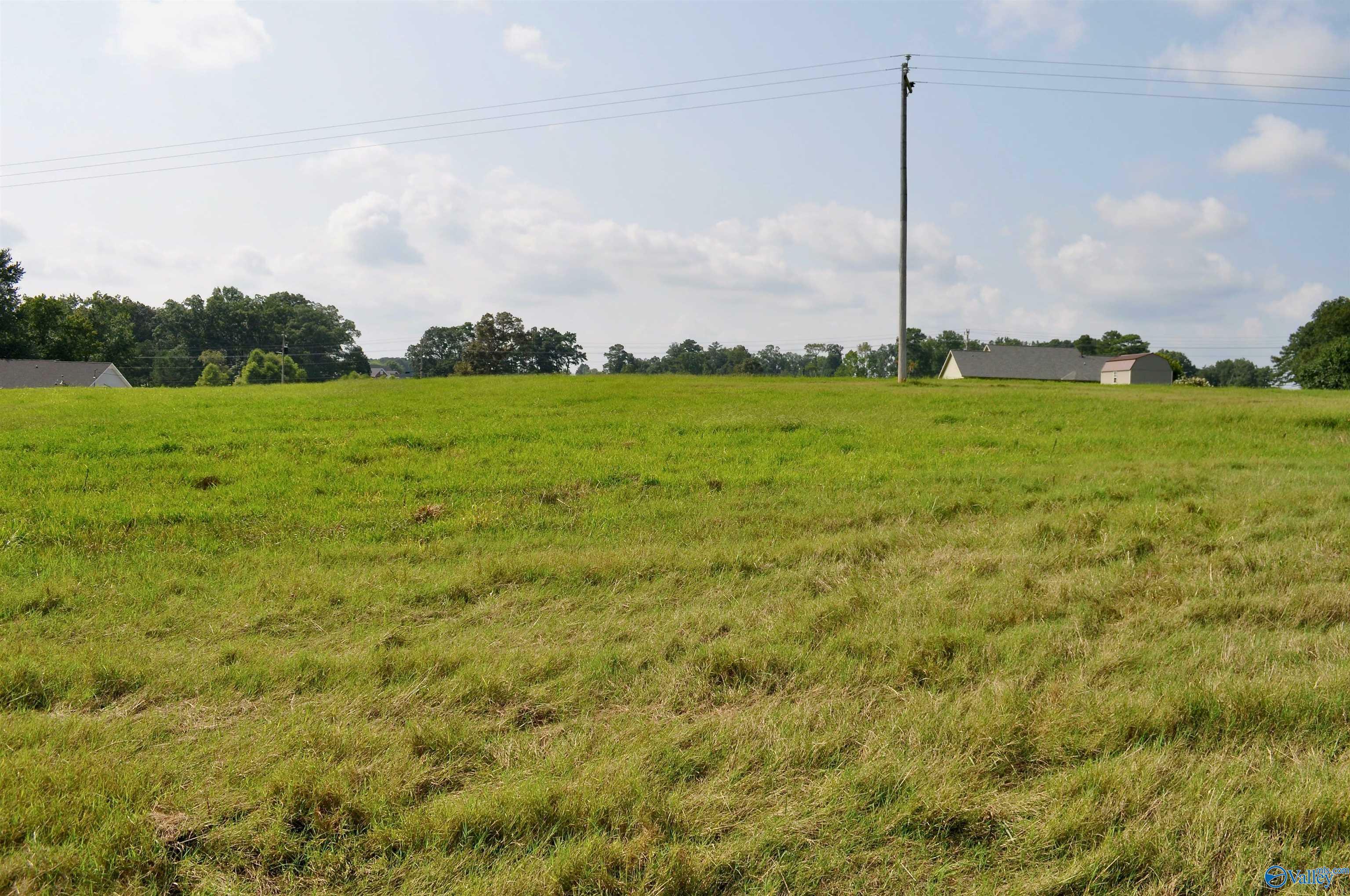 Property Photo:  Lot 4 Tiffany Drive  AL 35058 