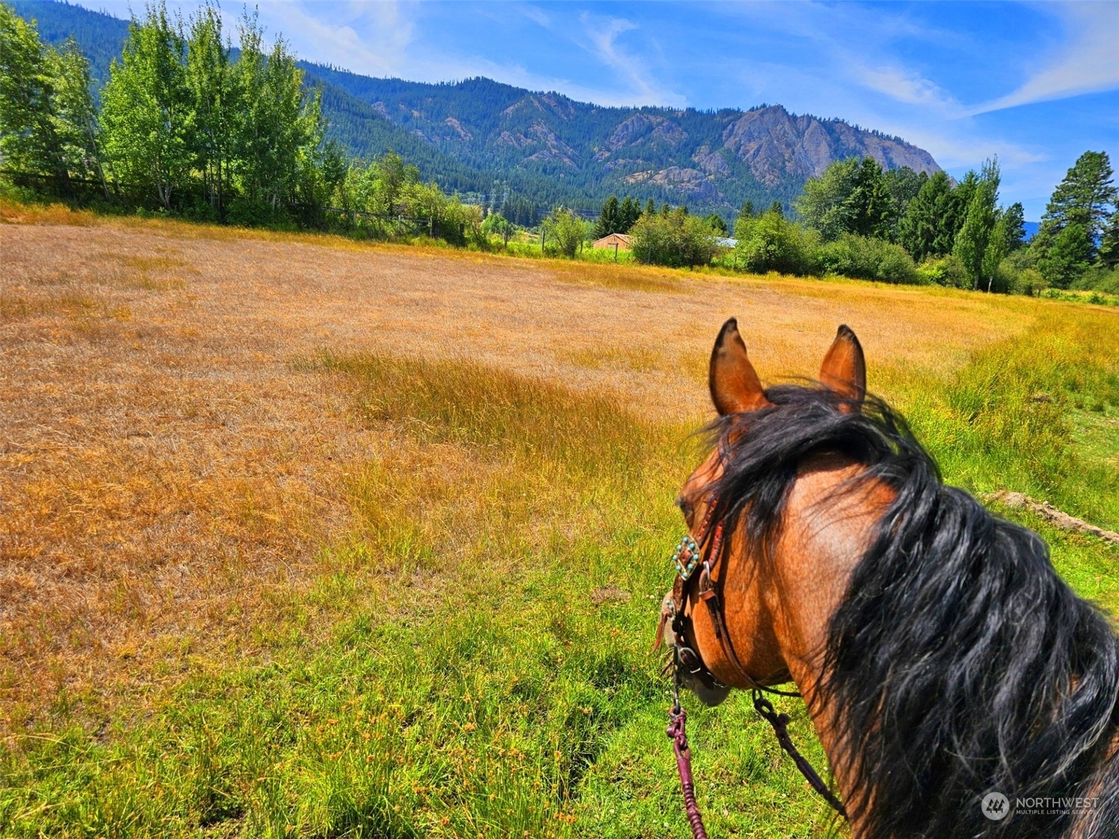 Property Photo:  648 Iron Mountain Road  WA 98922 