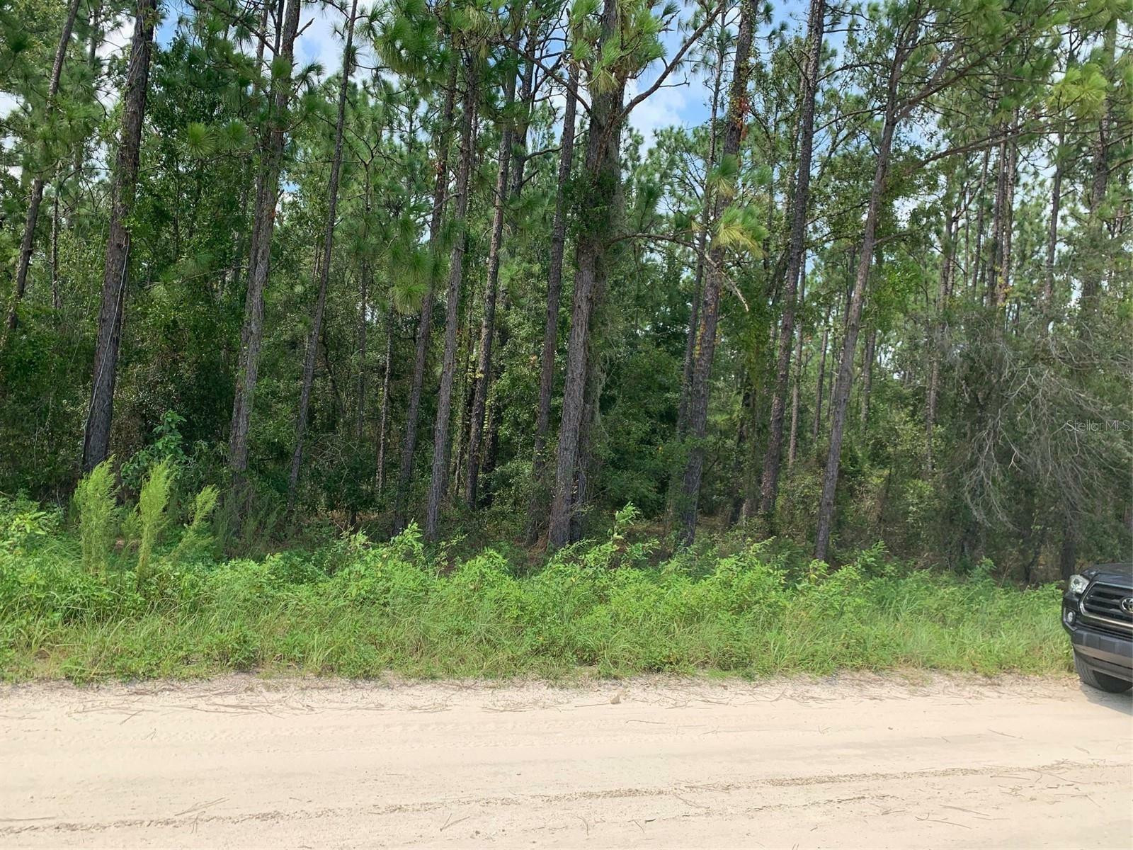 Property Photo:  0 SW 64th Street Rd  FL 34481 