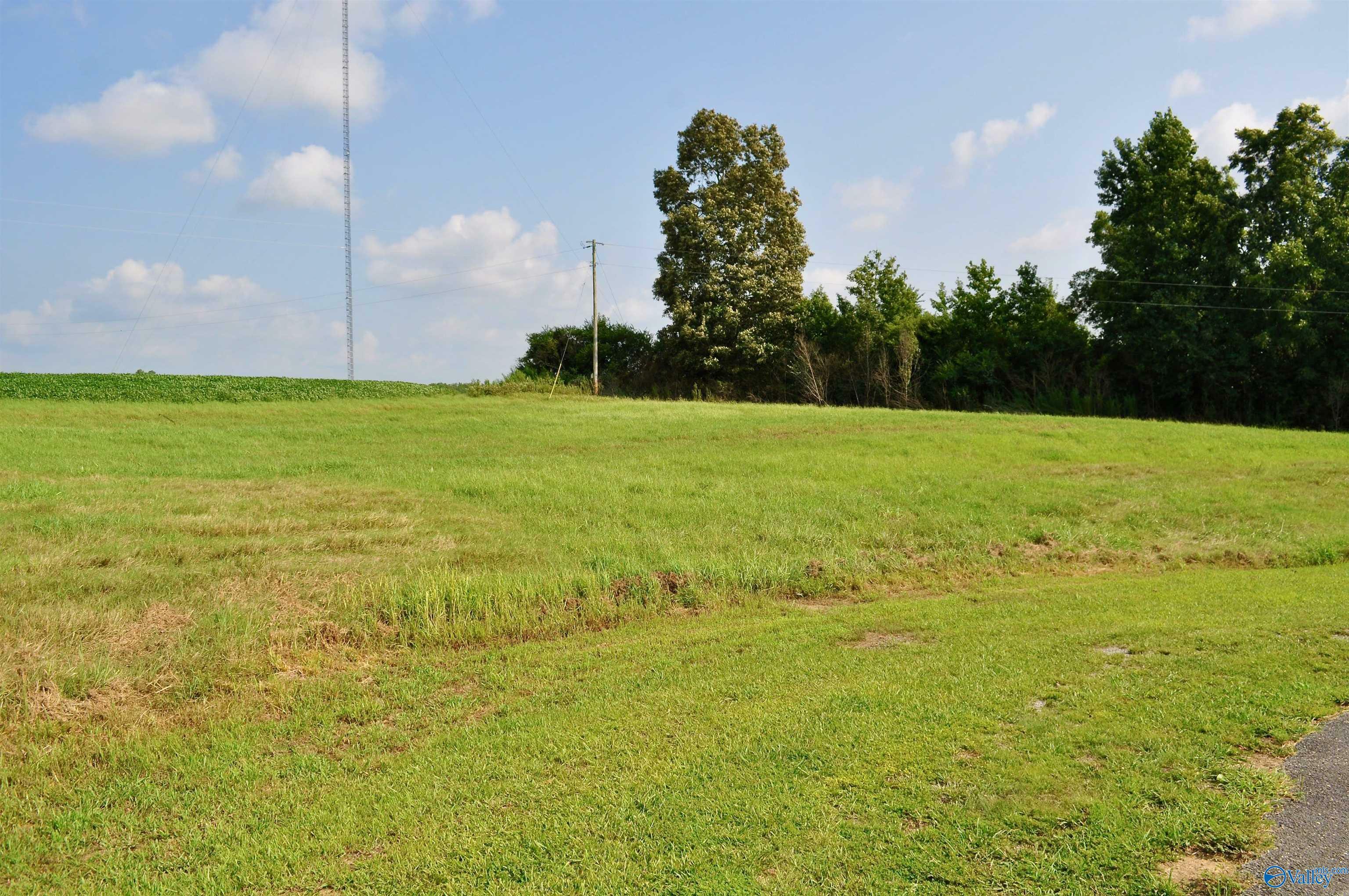 Property Photo:  Lot 13 Tiffany Drive  AL 35058 