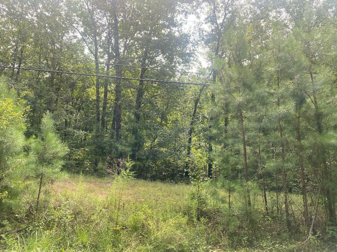 Property Photo:  Lot 3 North Walston Bridge Road  AL 35504 