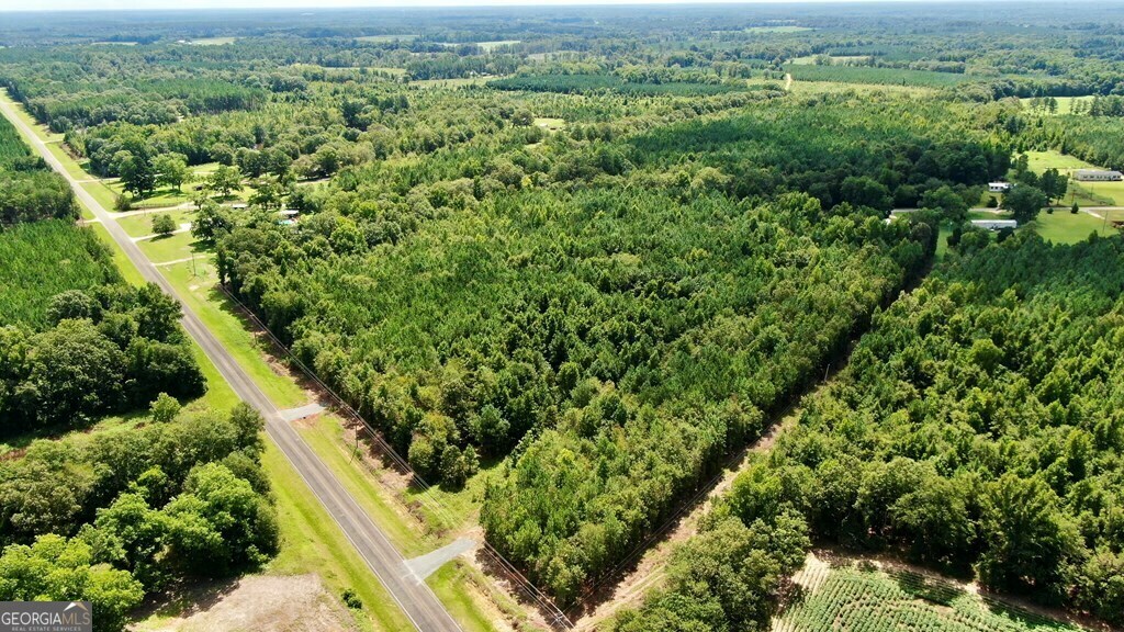 0 Hillbridge Rd Lot 1  Dexter GA 31019 photo