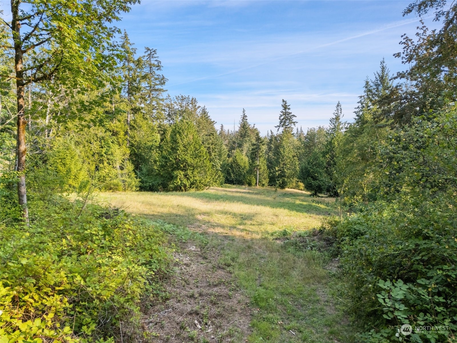 Property Photo:  551 E Crestview Drive  WA 98584 