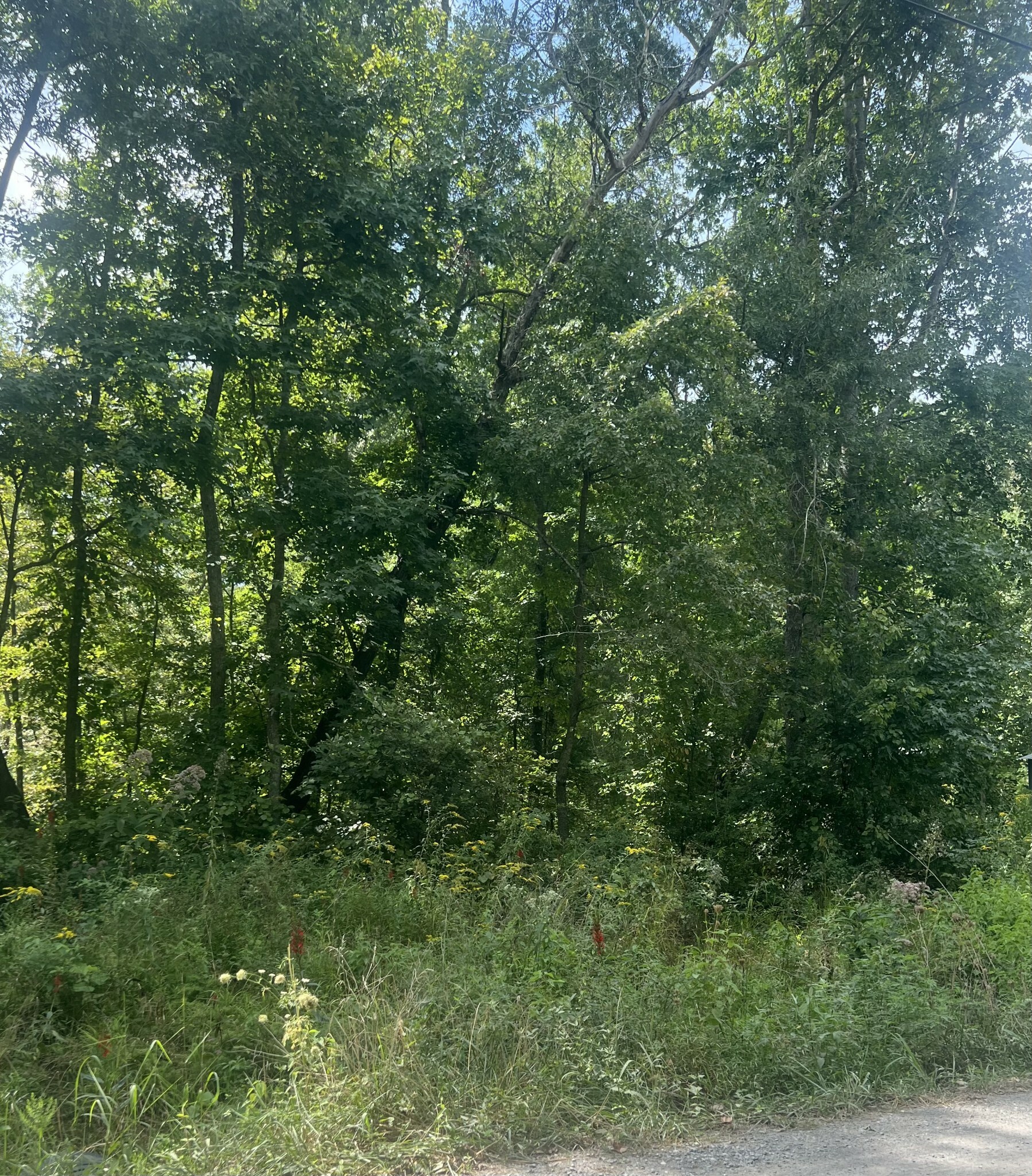 Property Photo:  0 Shiloh Rd  TN 37018 