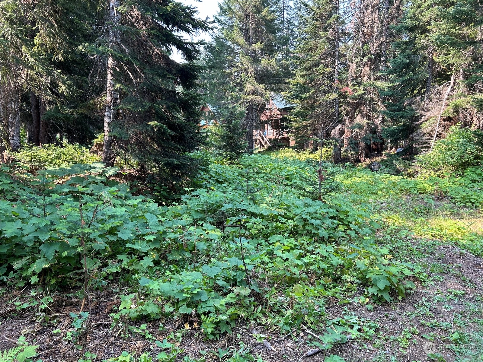 Property Photo:  18 Alaska Mountain Way  WA 98068 