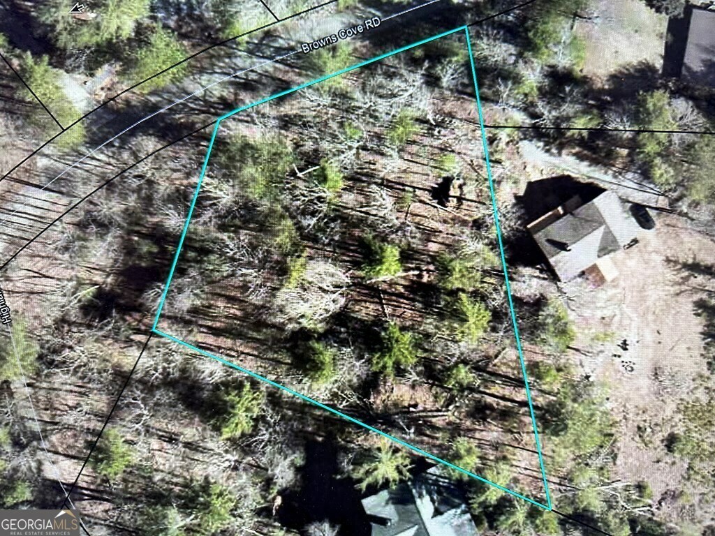 Property Photo:  Lot 4 Browns Cove Road  GA 30513 