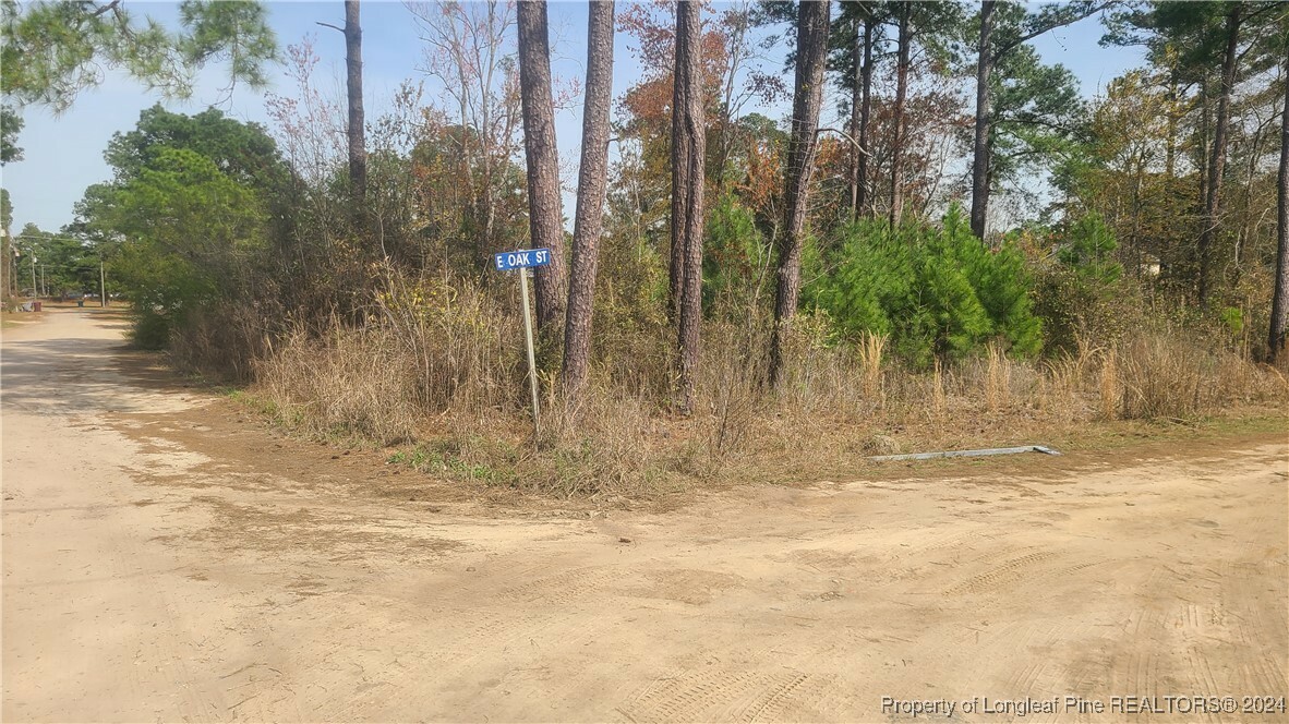 Property Photo:  58 & 59 Lennondale Boulevard  NC 28337 