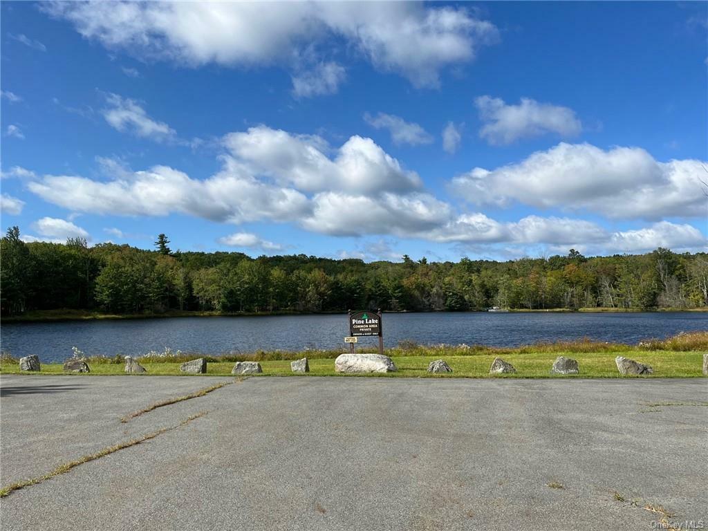 Property Photo:  Lot 20 Pine Lake Drive  NY 12790 