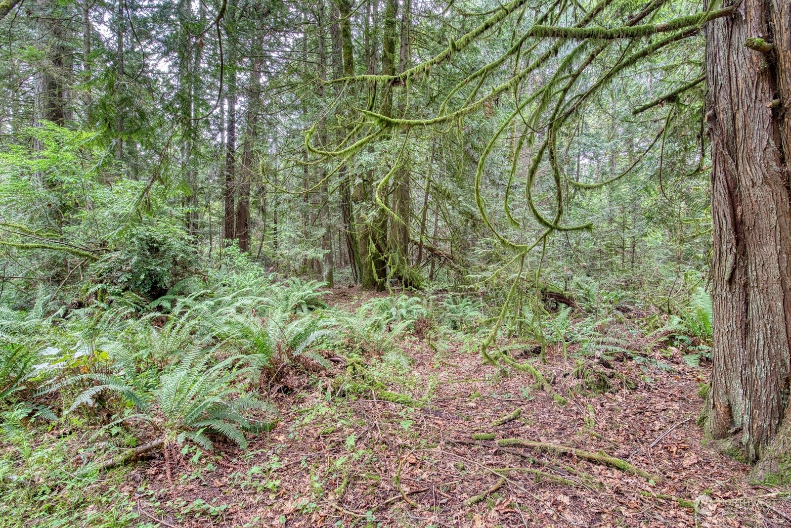 Property Photo:  14418 Wiley Lane SE  WA 98359 