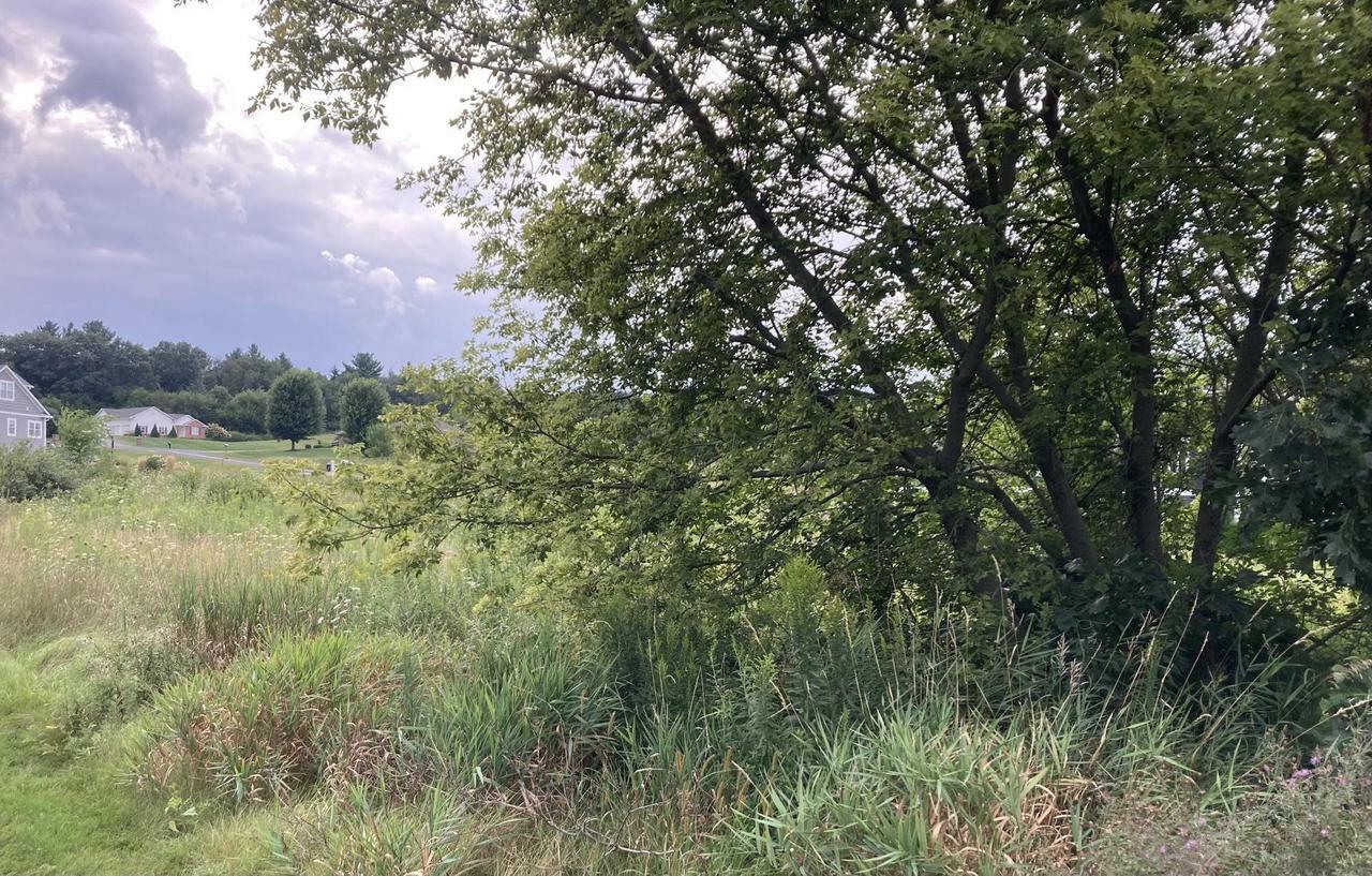 Property Photo:  Lot 17 North Zermatt Drive  WI 53545 