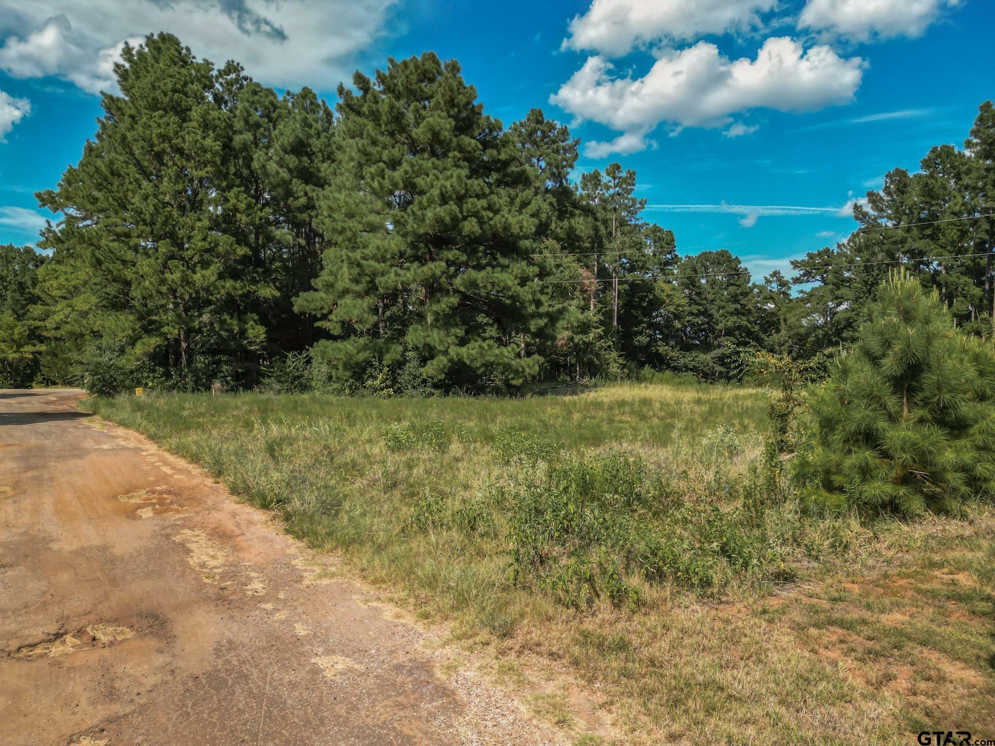 Property Photo:  Lots 20 &Amp 21 Lake Gladewater Dr.  TX 75647 