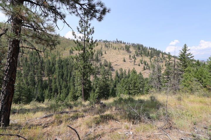 Property Photo: Nhn Tract 1C E Fork Combest Creek Road MT 59859
