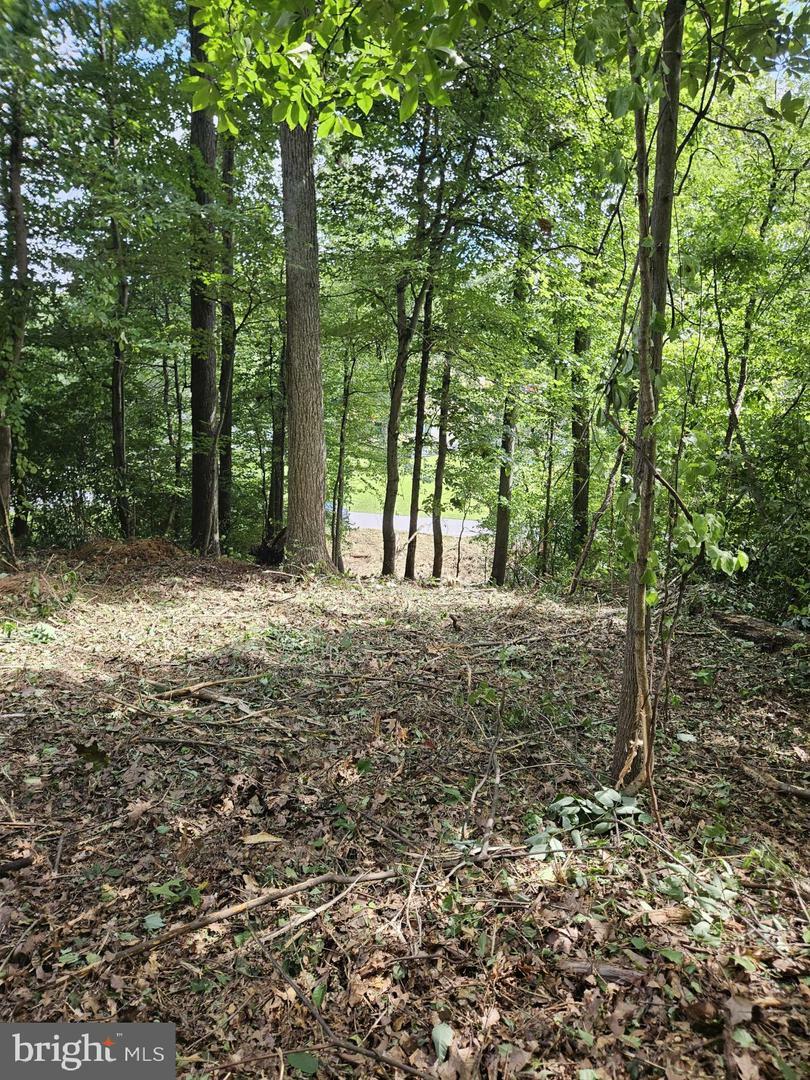 Property Photo:  Lot 492 Sycamore Trail  PA 17314 