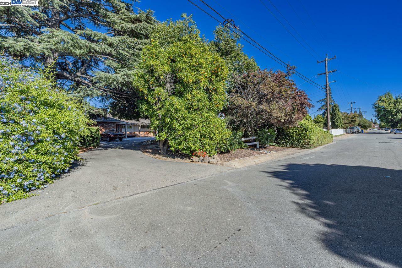 Property Photo:  38526 Tyson Ln  CA 94536 