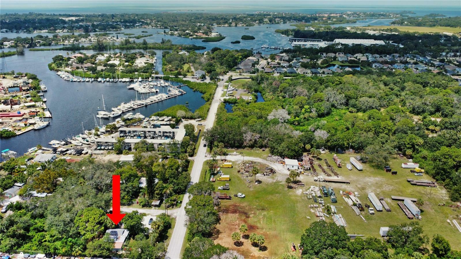 Property Photo:  203 Anclote Road  FL 34689 