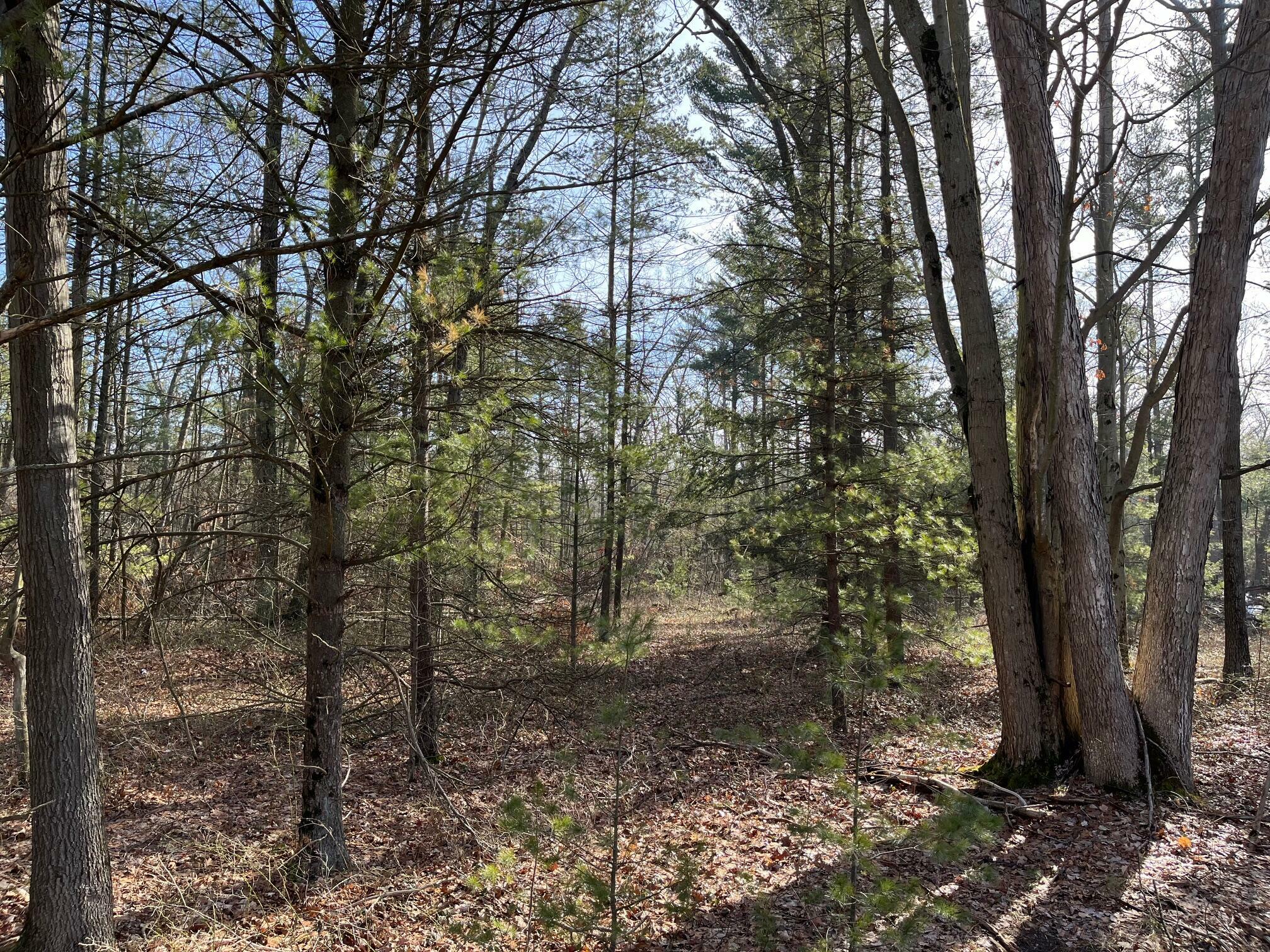 Property Photo:  Vl N Weber Road  MI 49445 