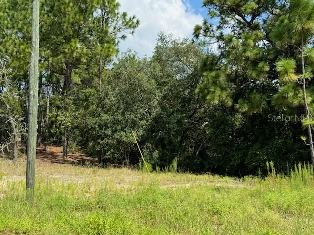 Property Photo: 11349 N Zeus Point FL 34433