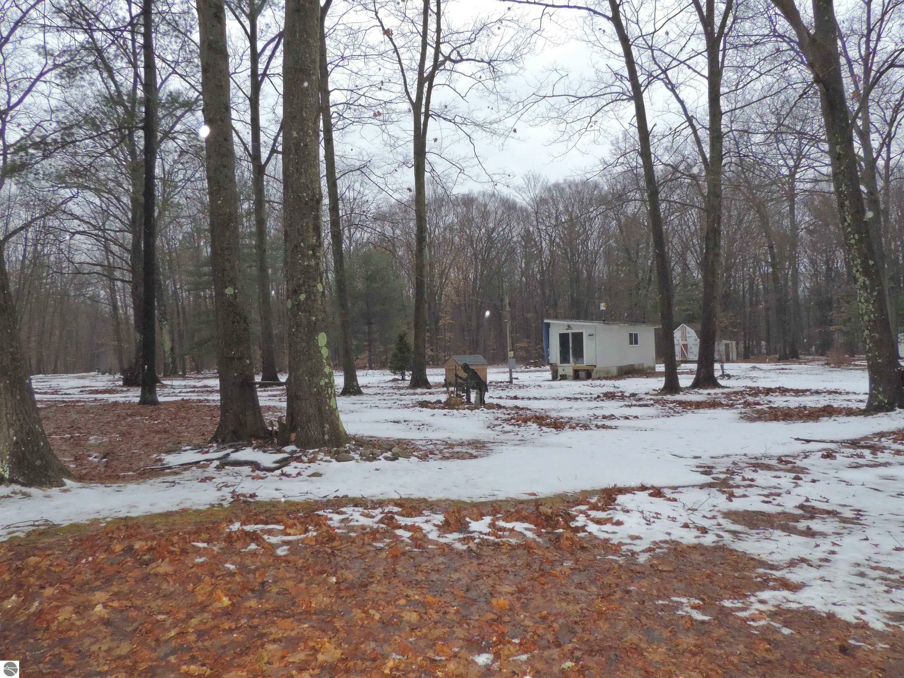 Property Photo:  10459 E Edgar Road  MI 48858 