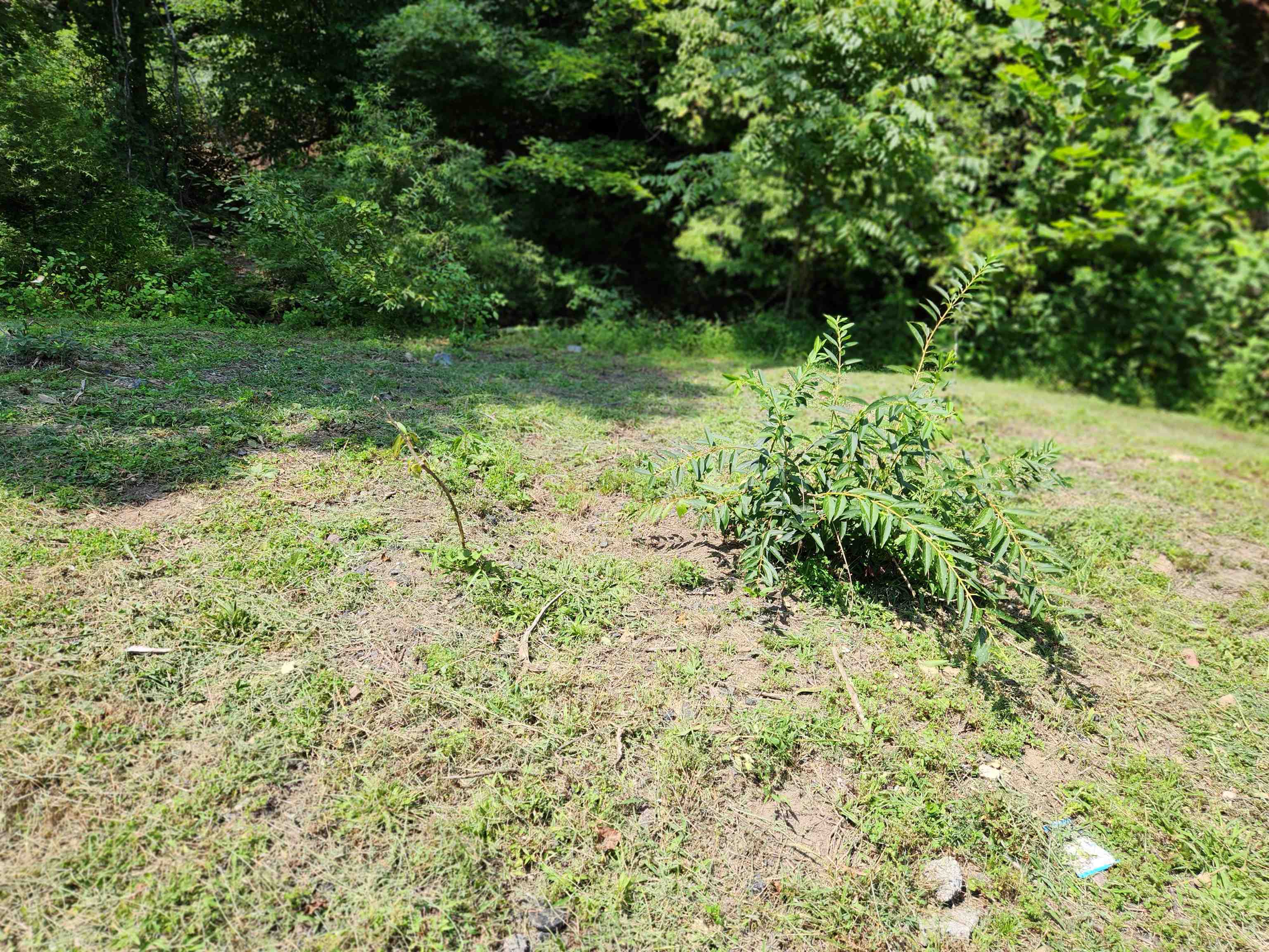 Property Photo:  4404 Ky-40 State Highway  KY 41256 