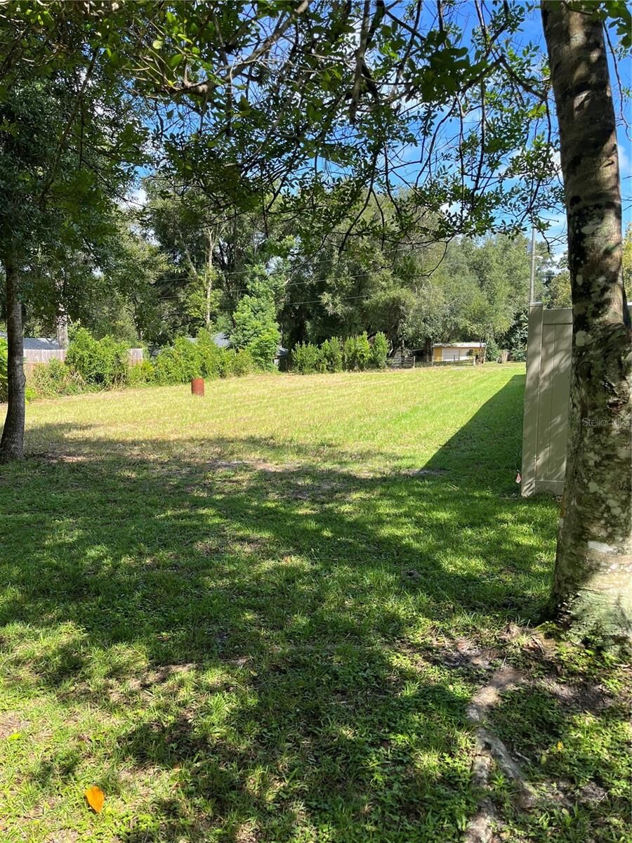 Property Photo:  220 Birch Avenue  FL 32763 