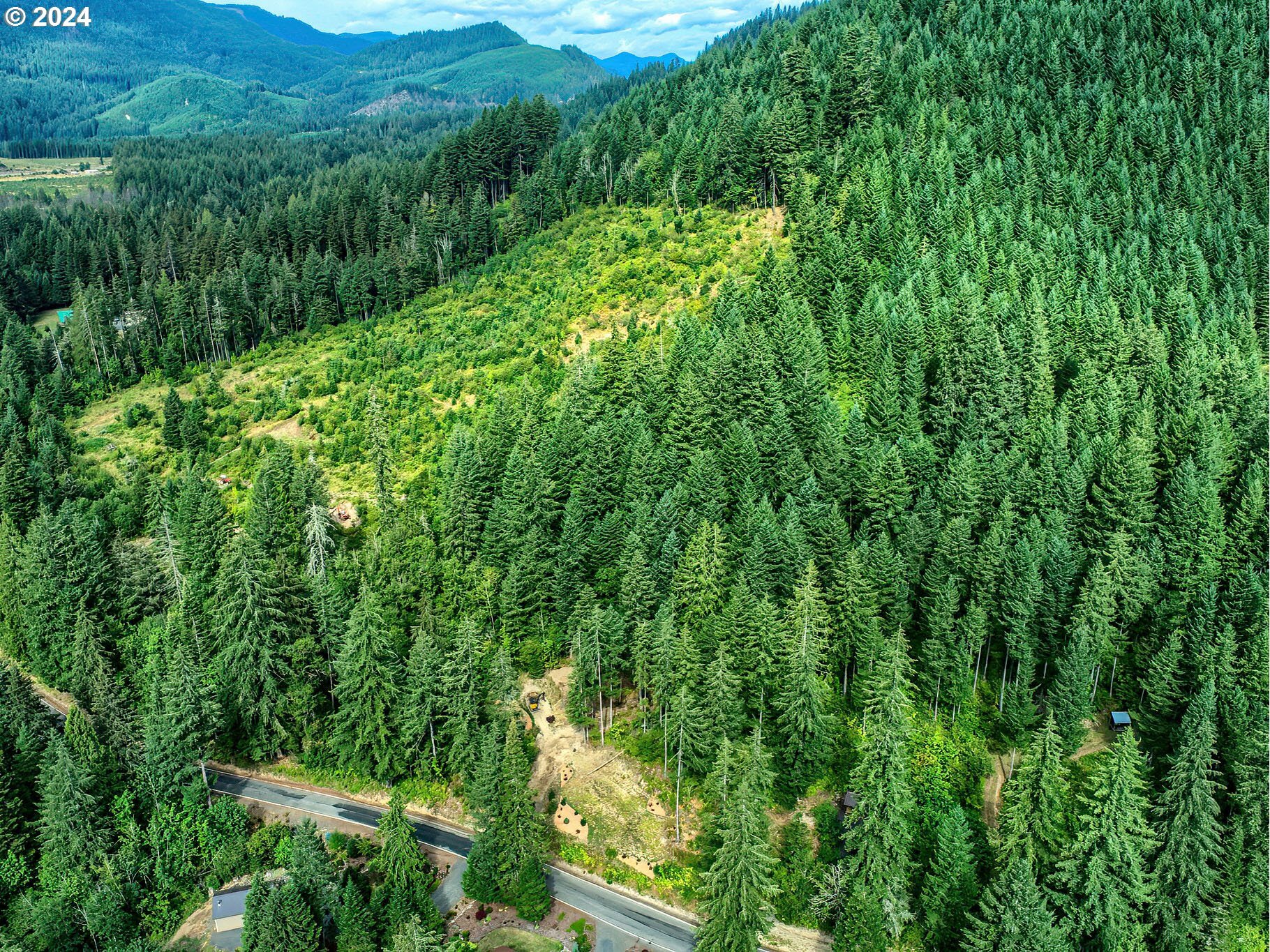 Bear Creek Rd  Carson WA 98610 photo
