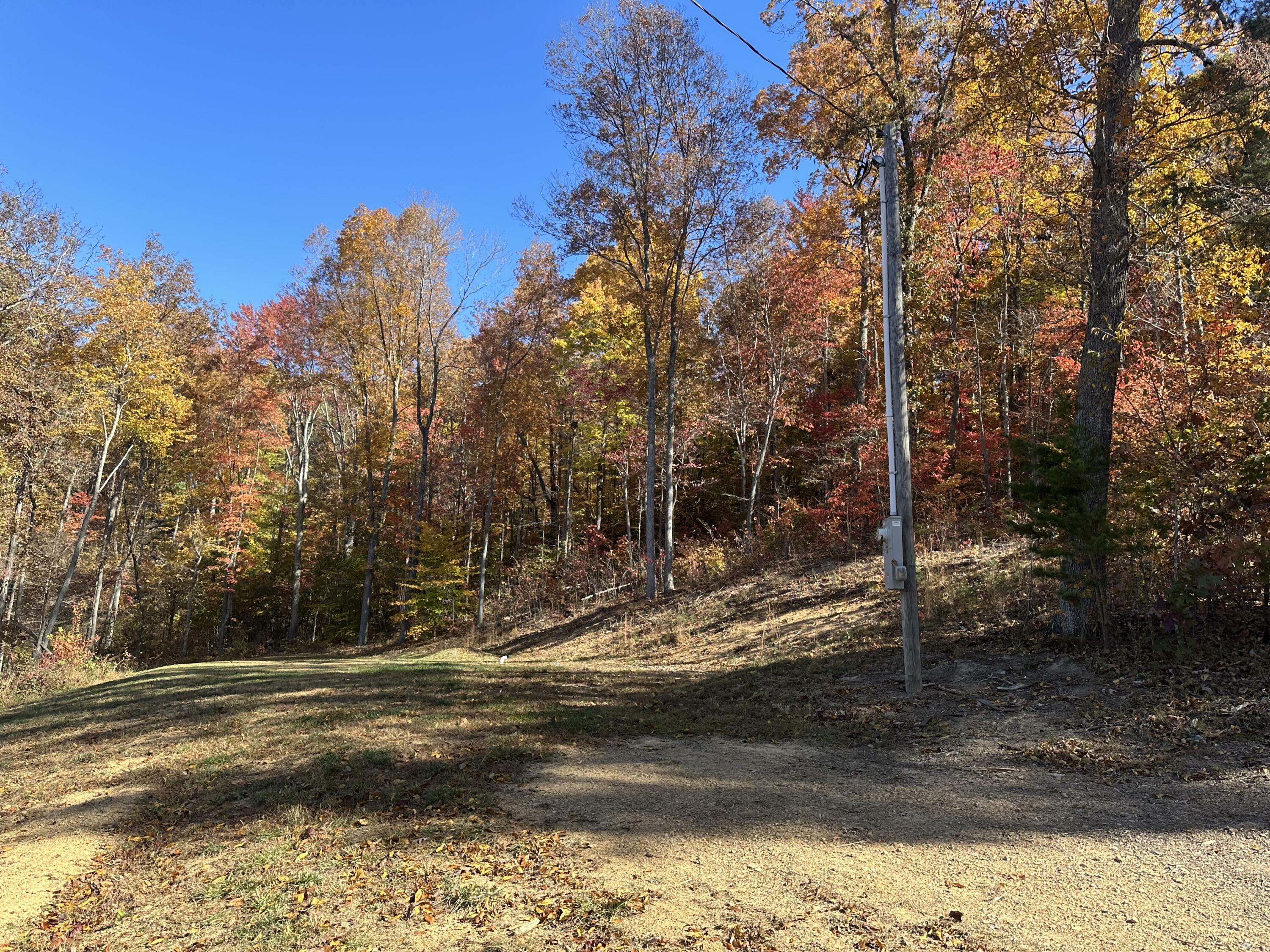 Property Photo:  425 Freeman Branch Road Lot 9  KY 40729 