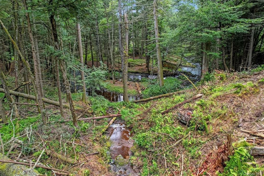 Property Photo:  Tannery Road  NY 12777 