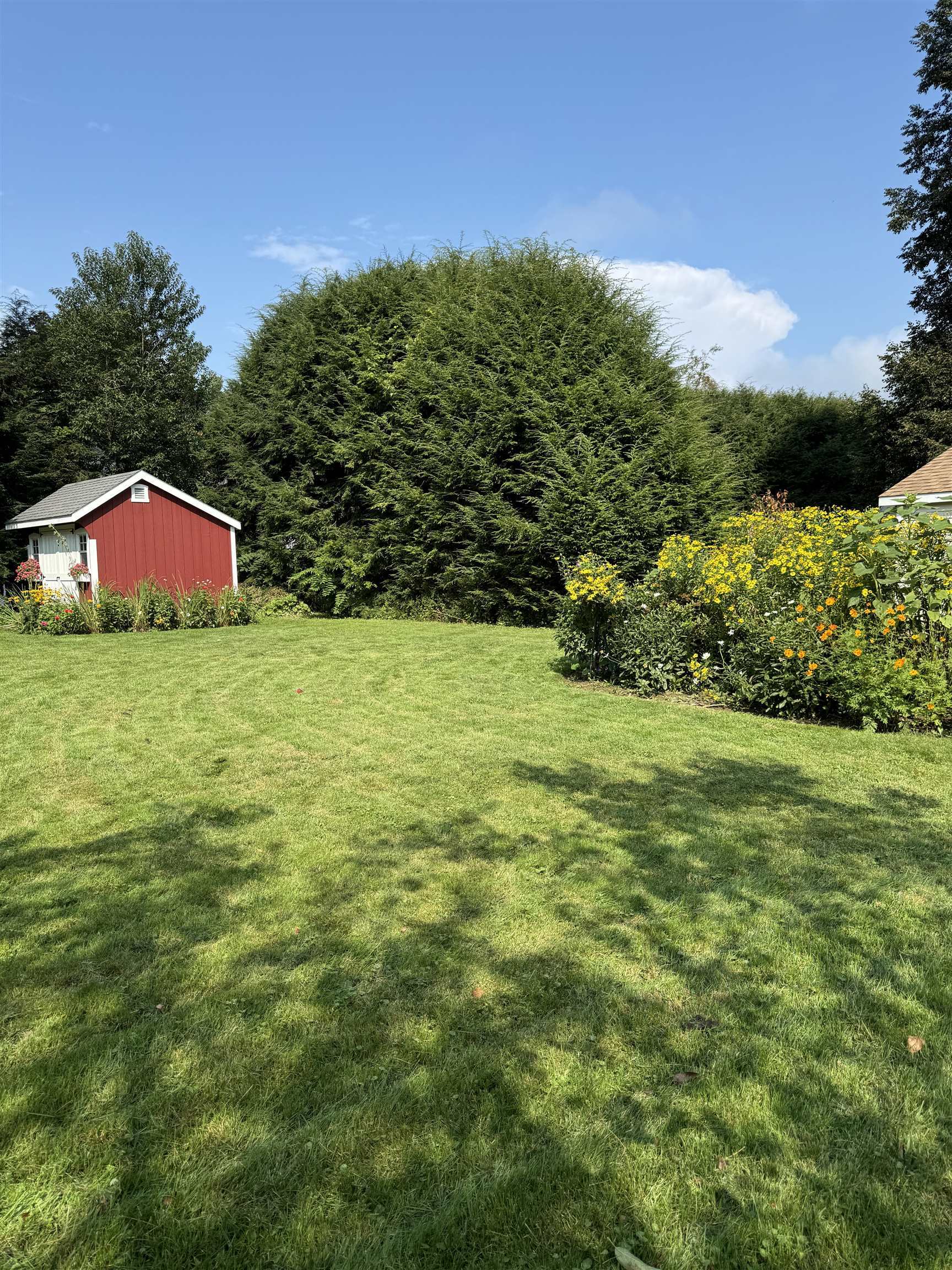 Property Photo:  4 Woodmore Drive  NH 03755 