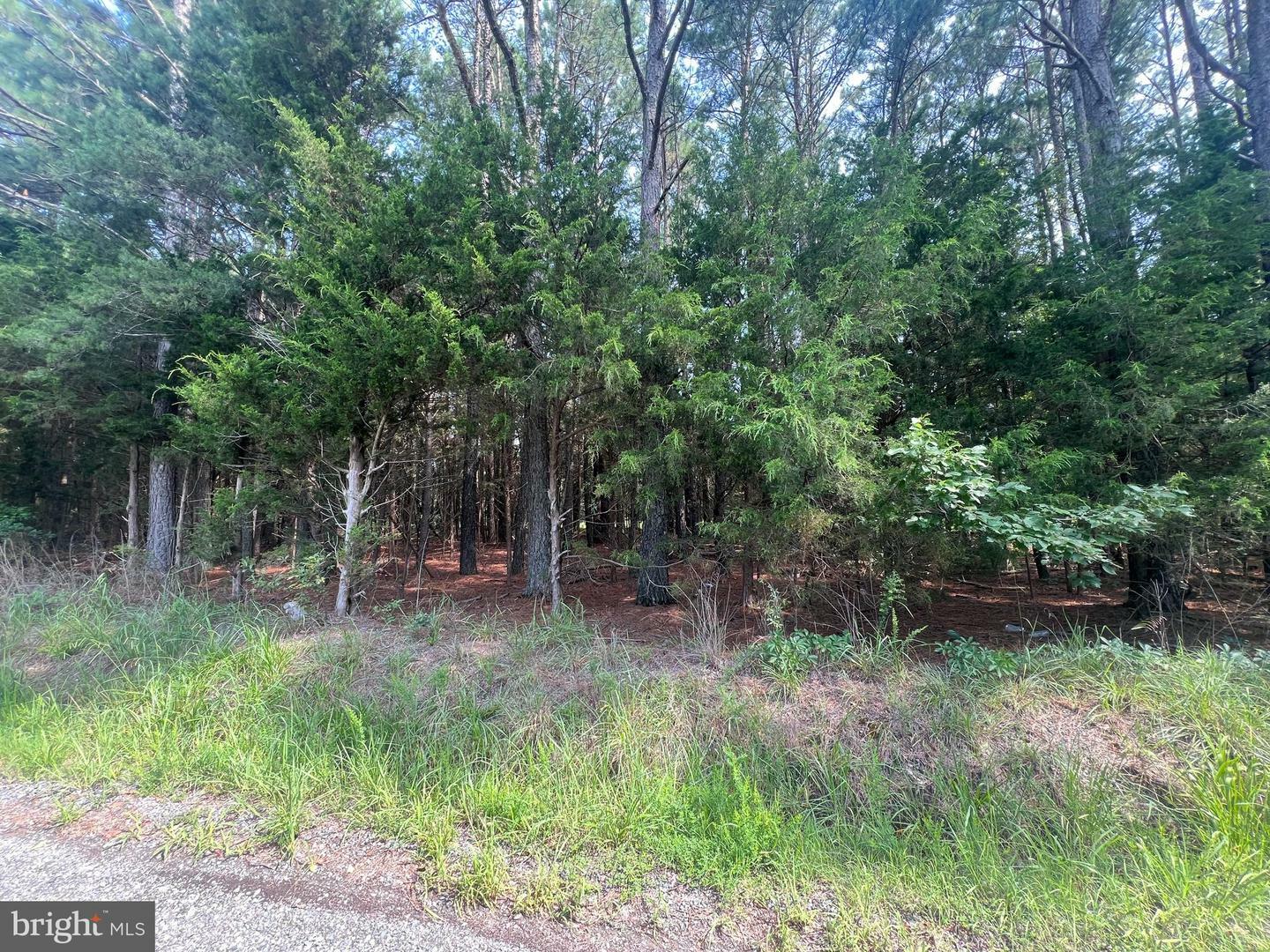 Property Photo: 0 Tidewater Trail VA 22437
