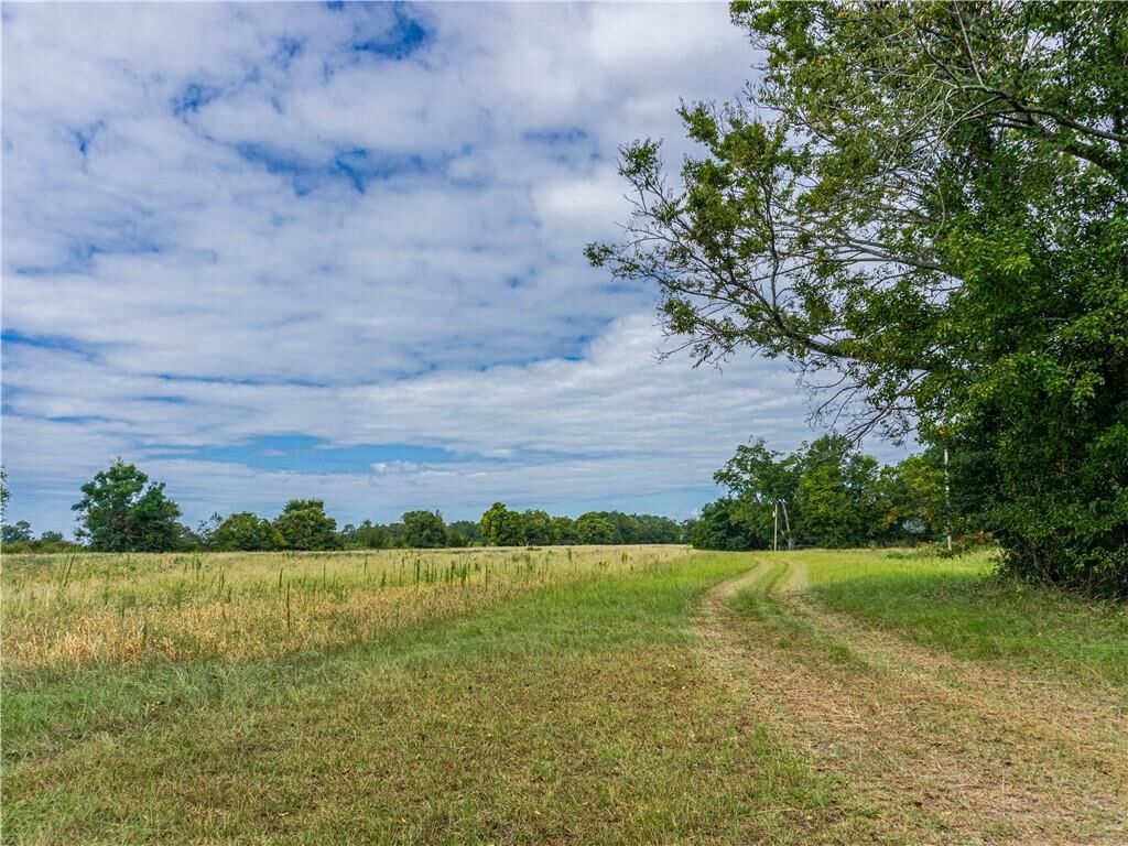 Property Photo: 183 Screws Road AL 36027