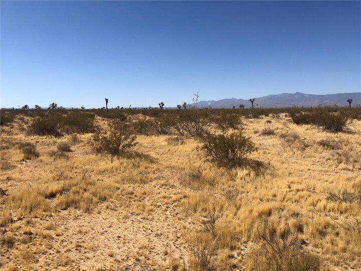 Property Photo: 0 Holly Road CA 92301