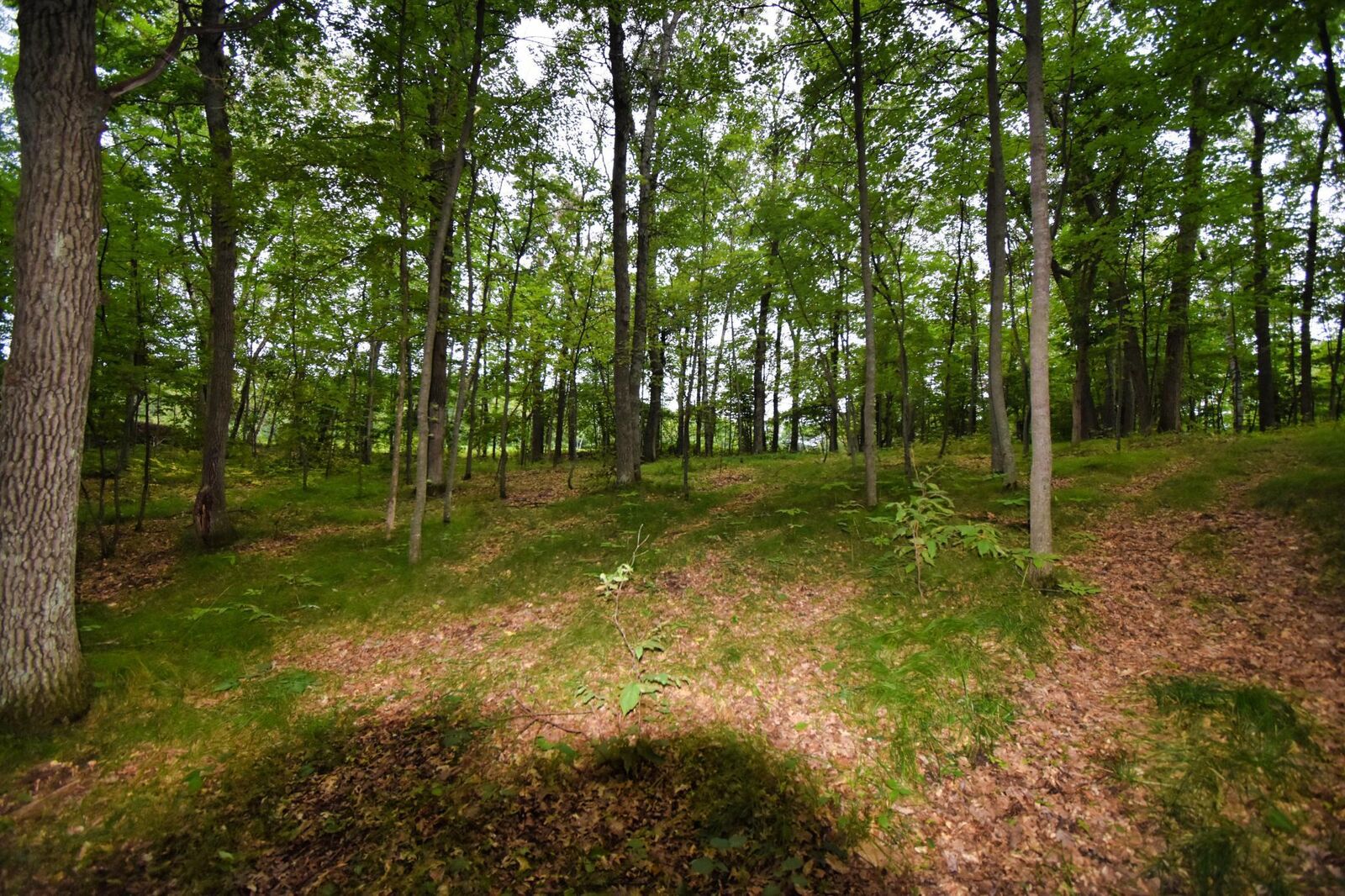 Property Photo:  Tbd Osceola Circle  MN 56472 