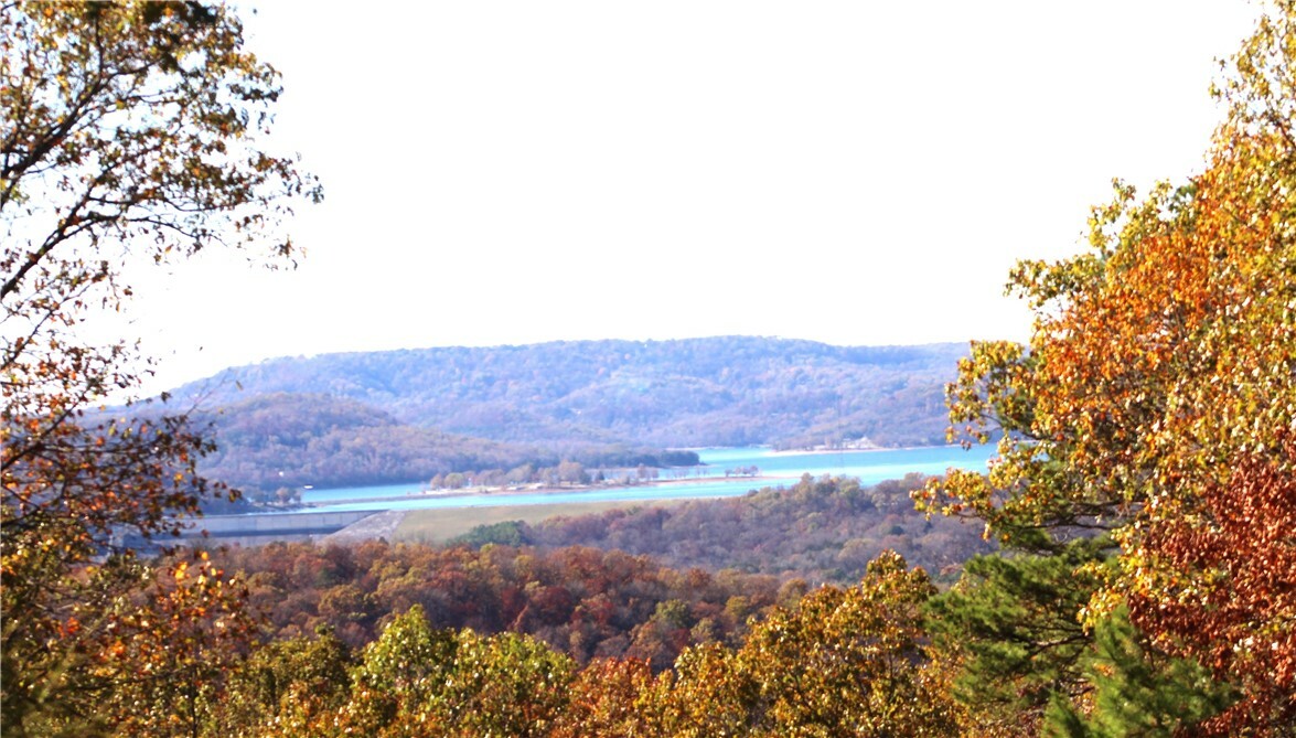 Property Photo:  35 Blue Moon Road  AR 72632 