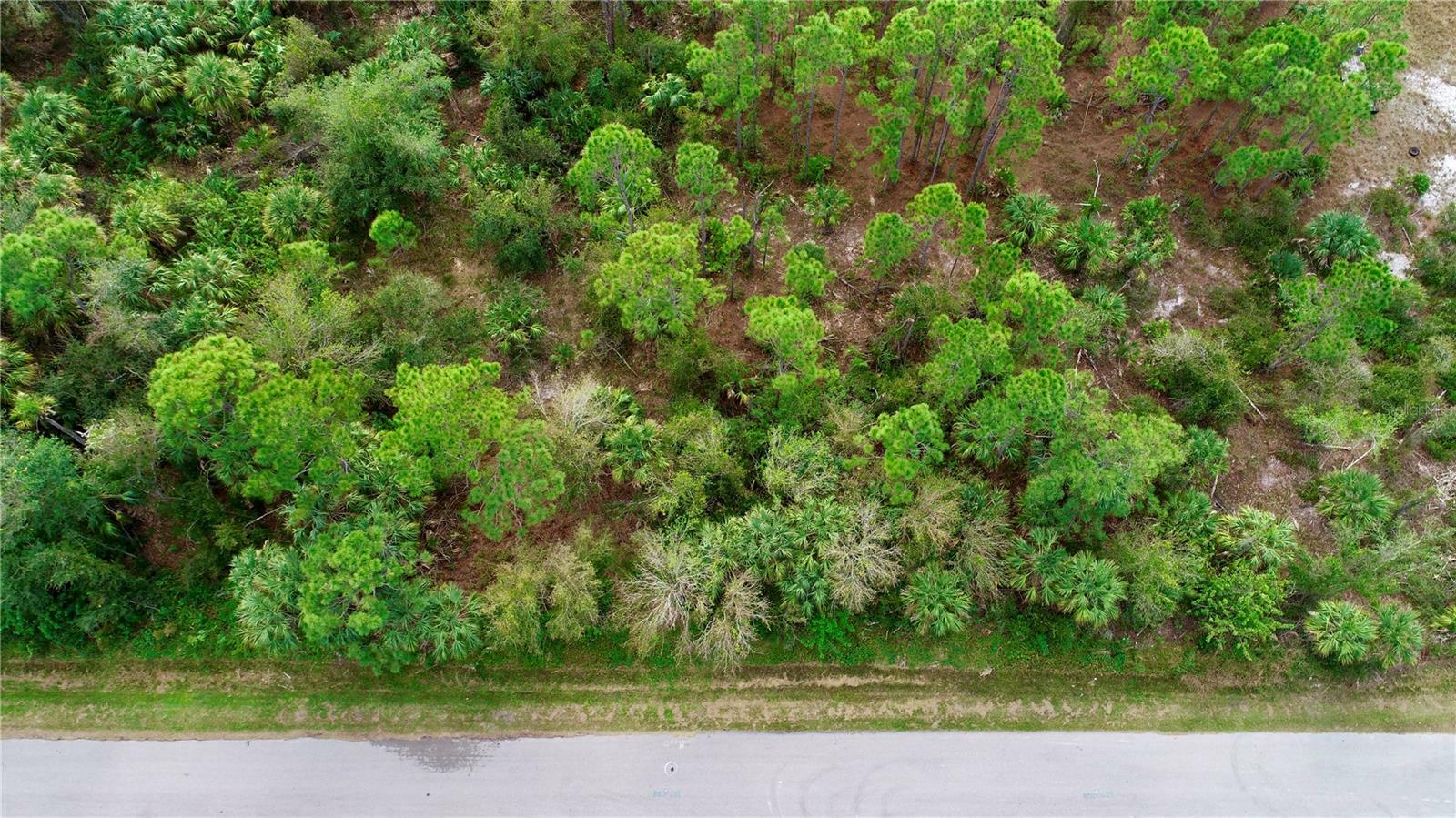 Property Photo: 26373 &Amp 26377 Deer Road FL 33955