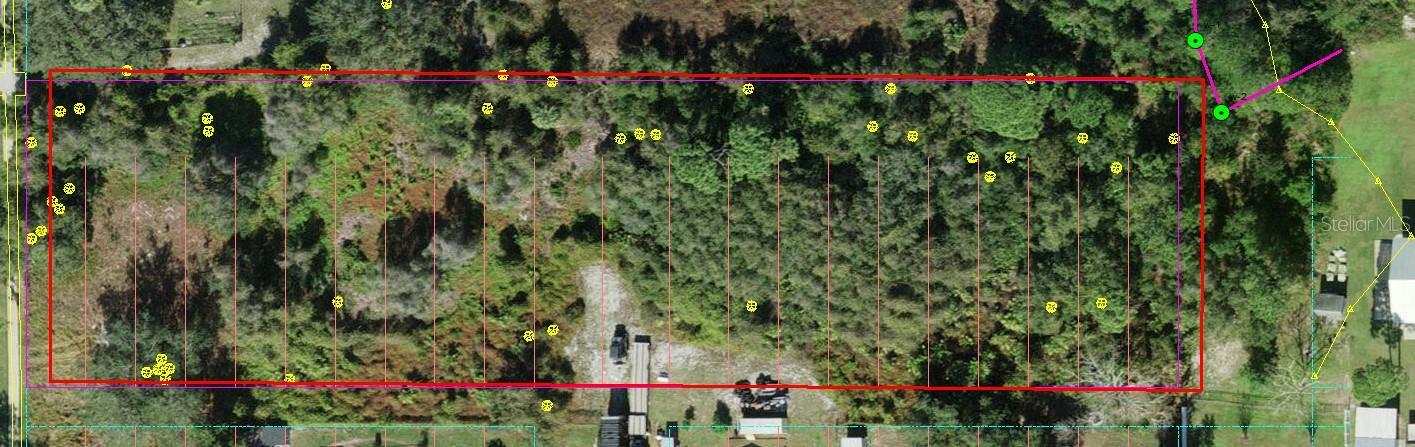 Property Photo: N Main Street FL 34771