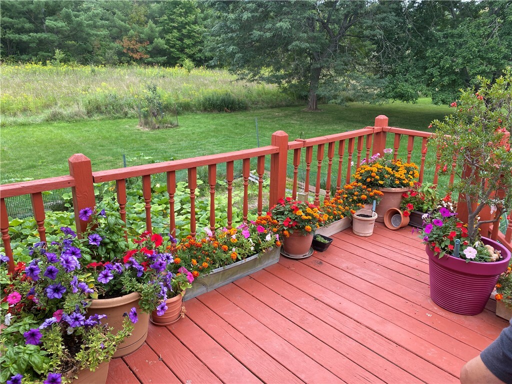 Property Photo:  806 W King Road  NY 14850 