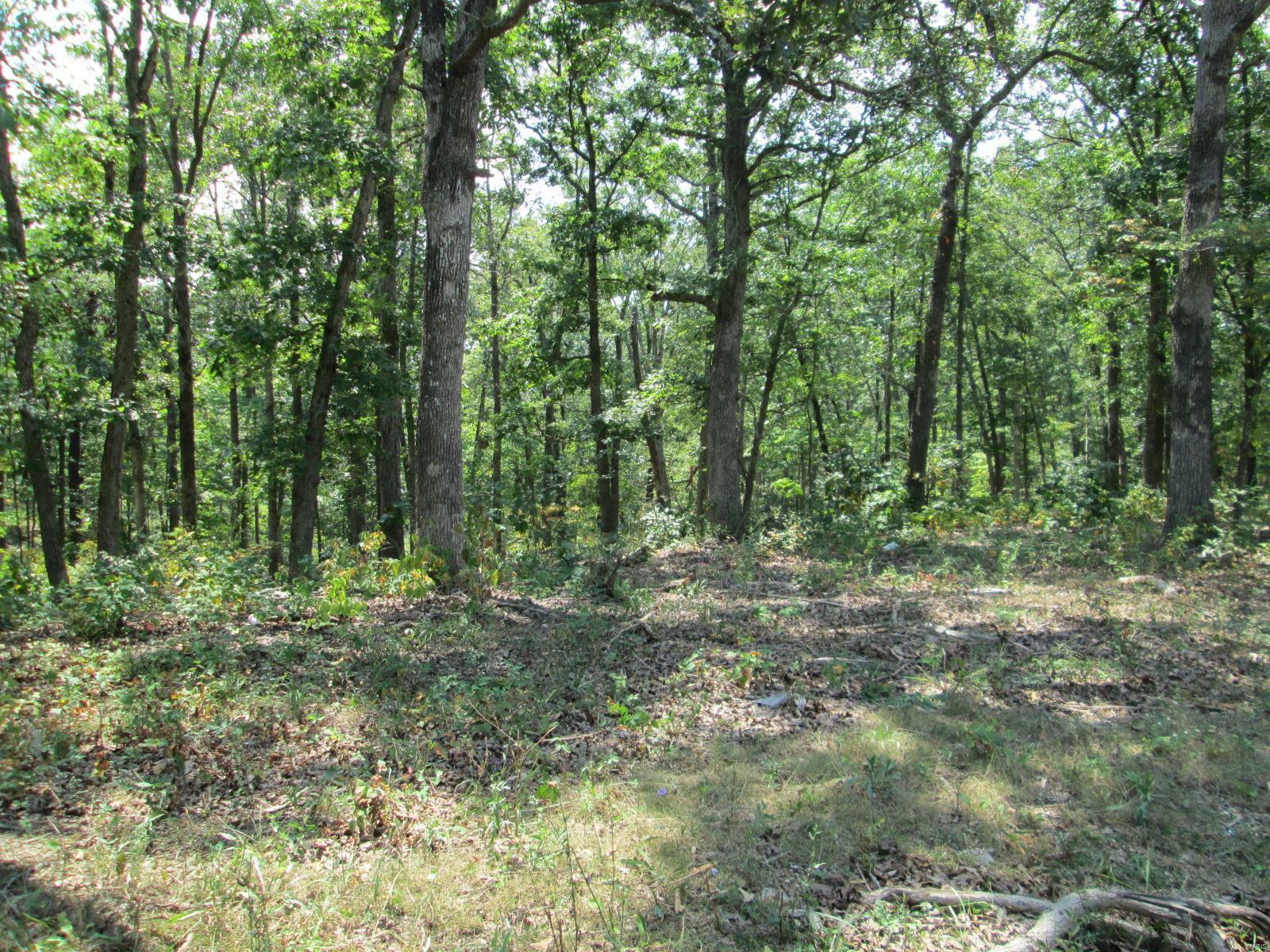 0 Hwy 30 Gravois Rd 14.73 Acres  St Clair MO 63077 photo