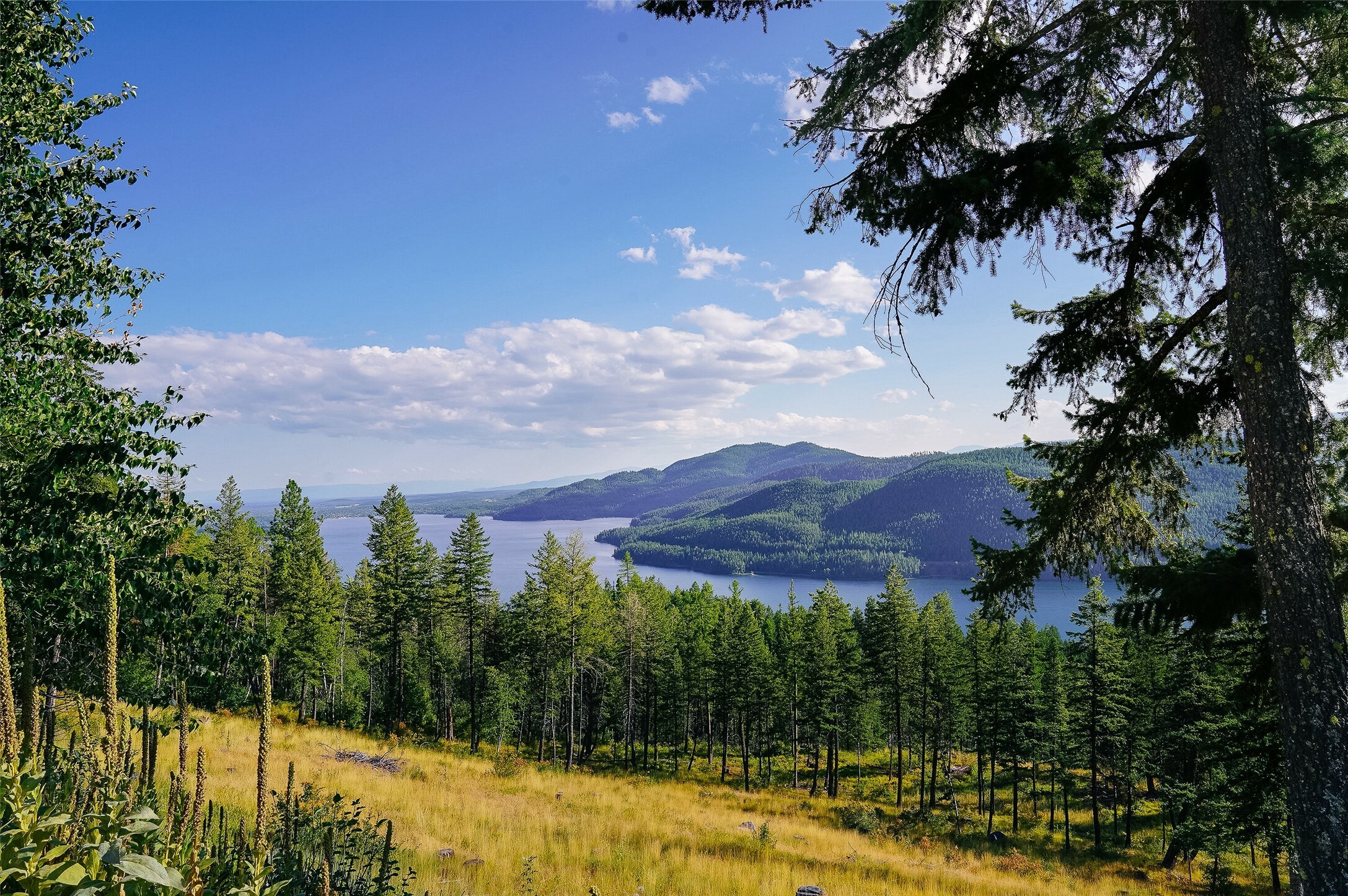 69 Eagle Creek Trail  Whitefish MT 59937 photo