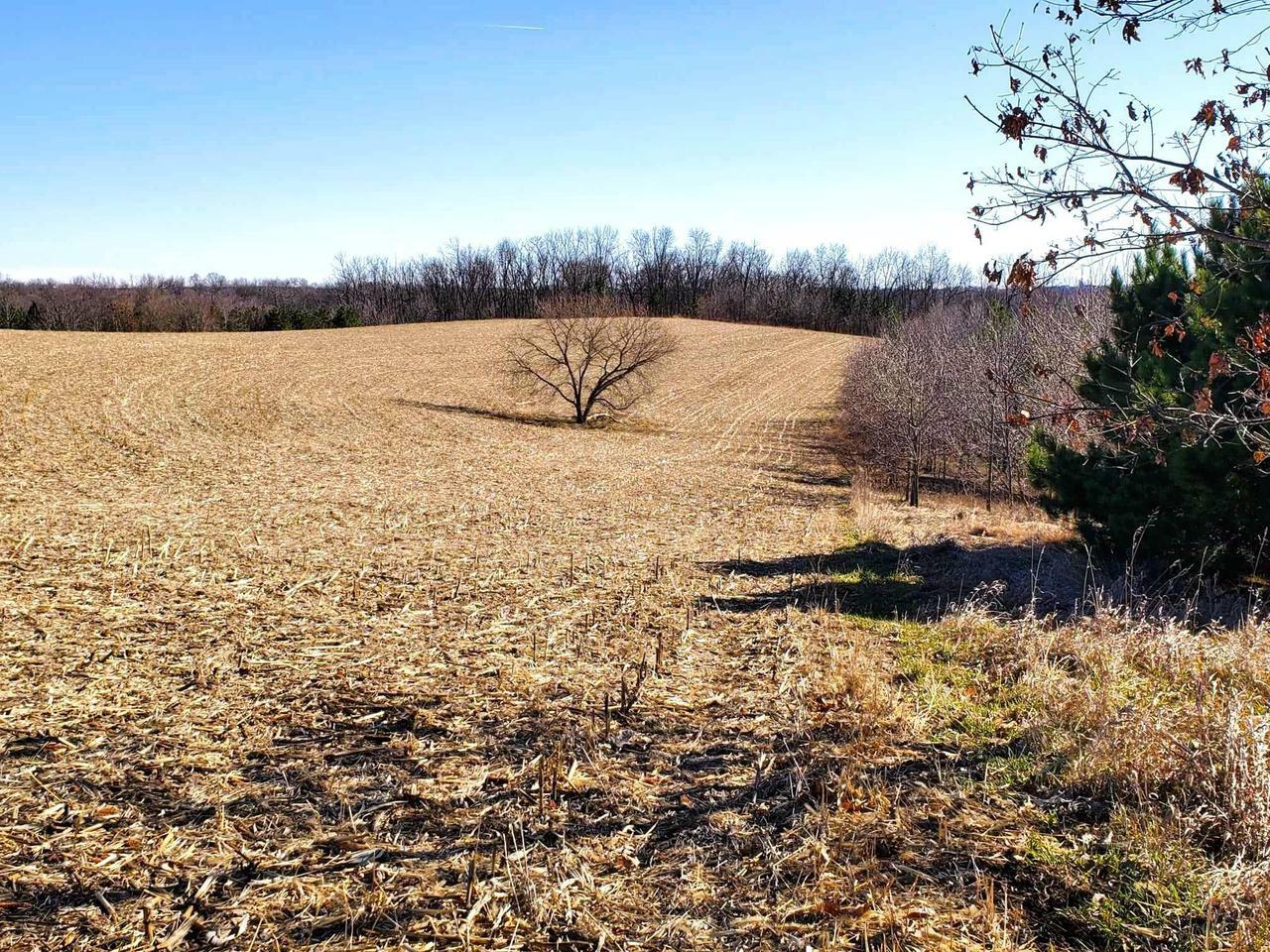 Property Photo:  000 Hillside Lane  WI 54631 