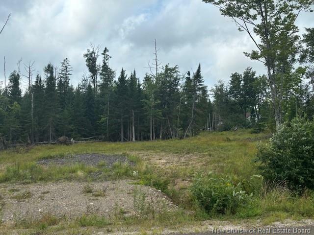 Property Photo:  Lot 12-02 Robby Street  NB E3G 8B5 