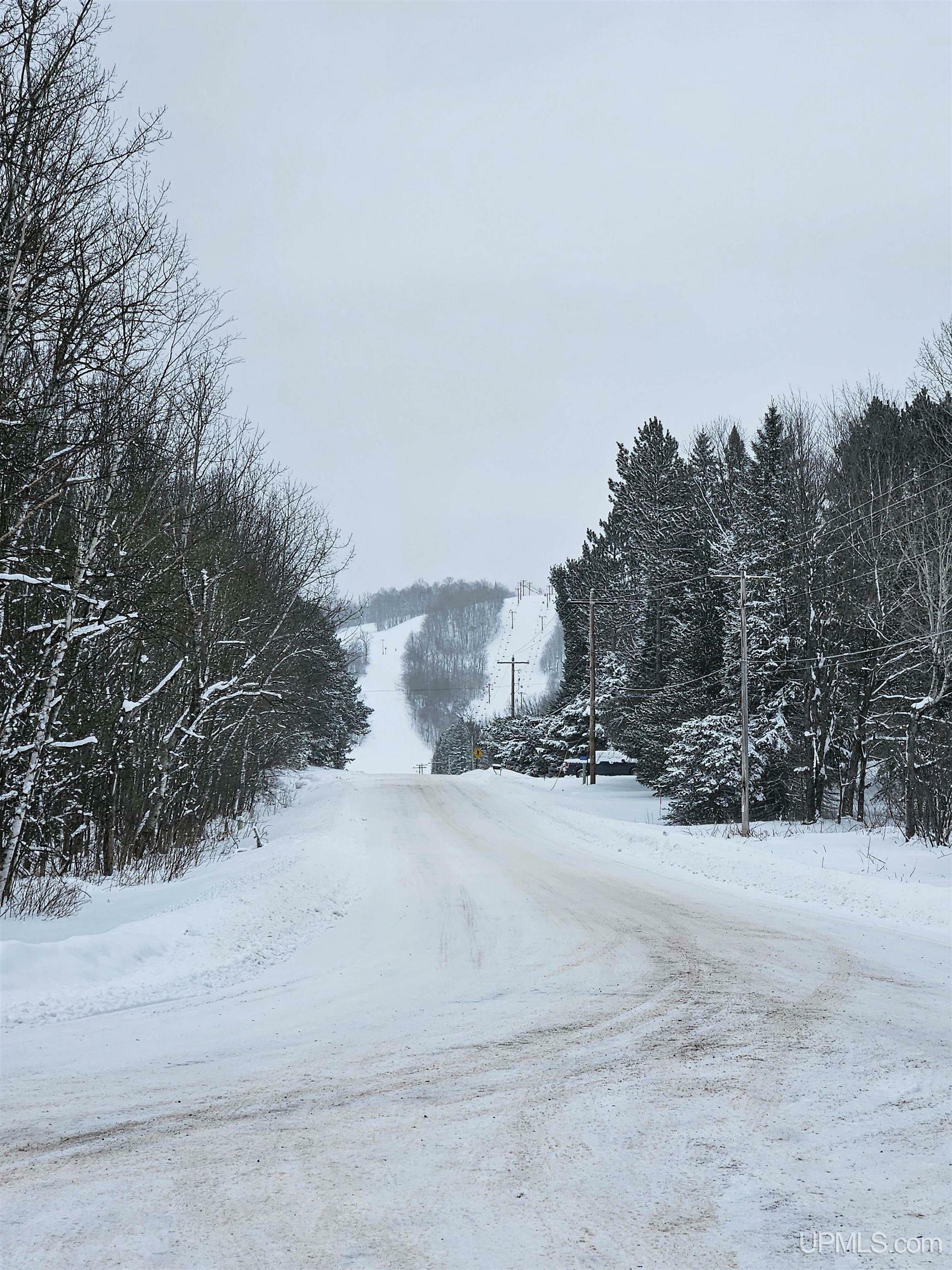 Property Photo:  Tbd 17.2 Acres Black River Road  MI 49911 