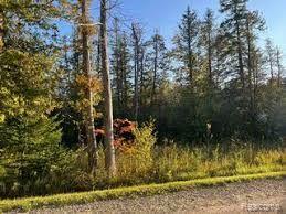 Property Photo: 14250 Town Hall(Lot A &Amp B) MI 49759