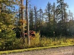 Property Photo:  14250 Town Hall(Lot A &Amp B)  MI 49759 