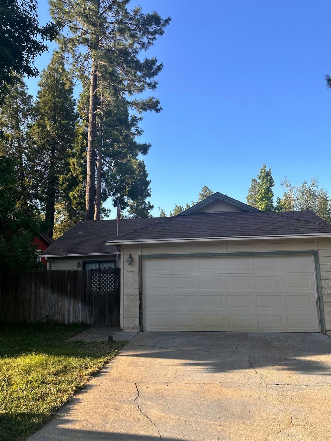 Property Photo:  547 Penstock Drive  CA 95945 