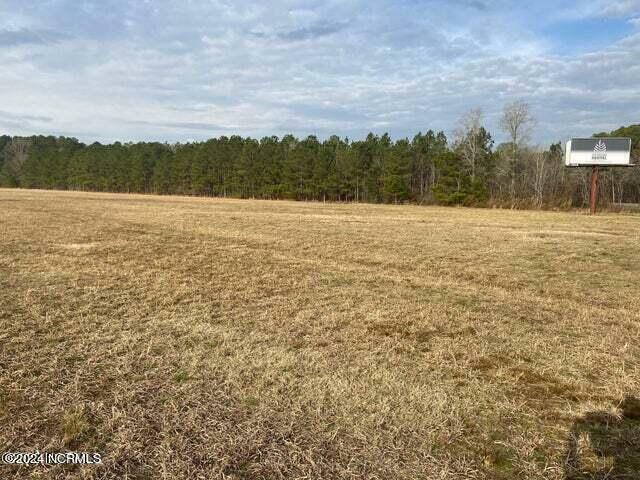 0 Hwy 33  Grimesland NC 27837 photo