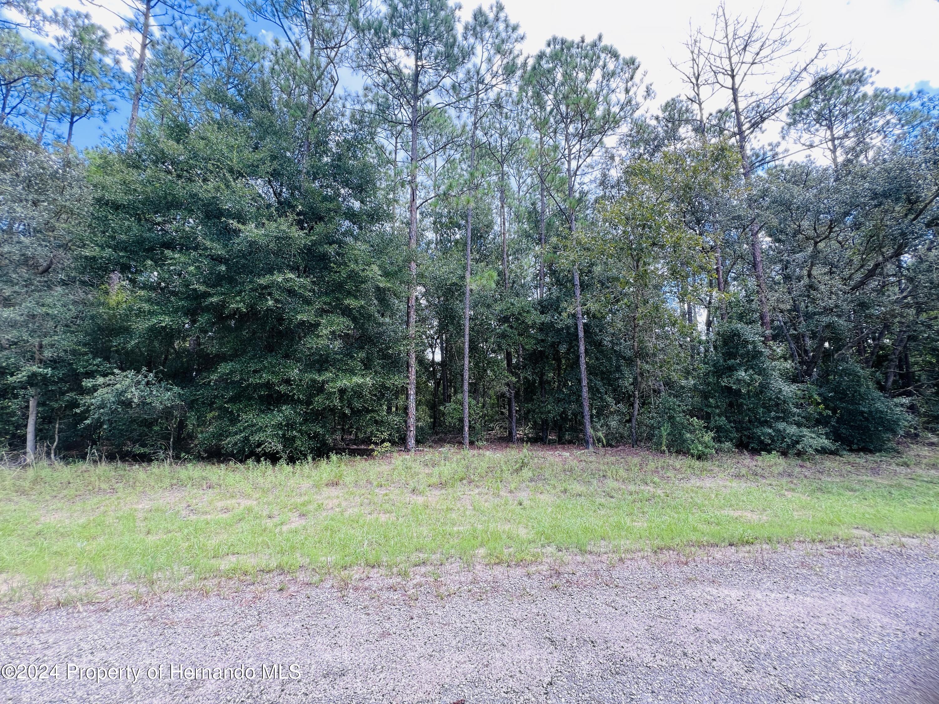 Property Photo:  8681 N Wallingford Avenue  FL 34434 