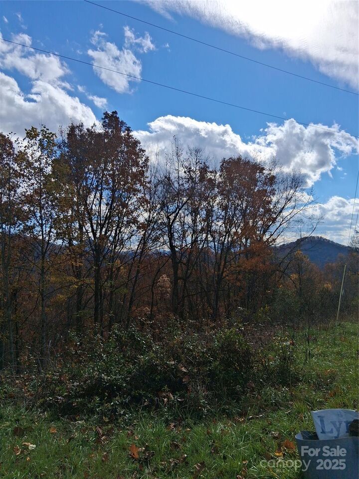 Property Photo:  8565 Sylva Road  NC 28734 